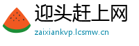 迎头赶上网